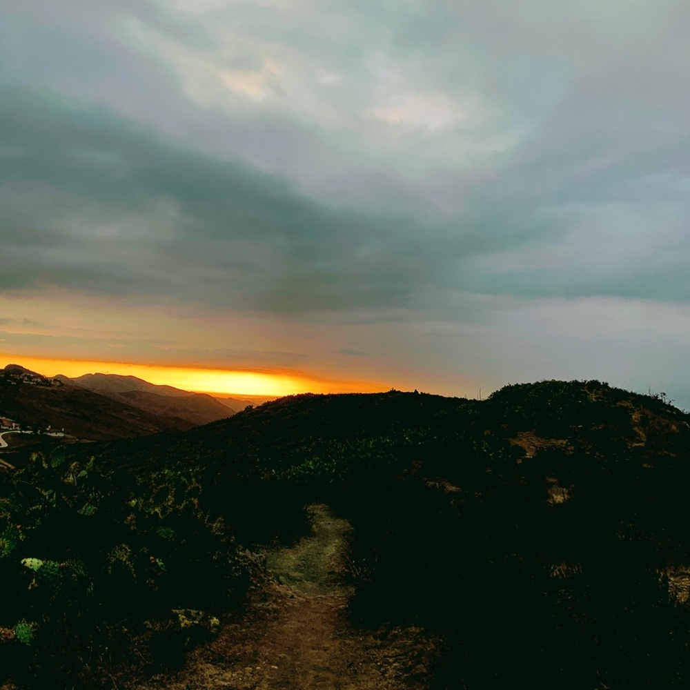 make offers!! everything must go!! thanks!